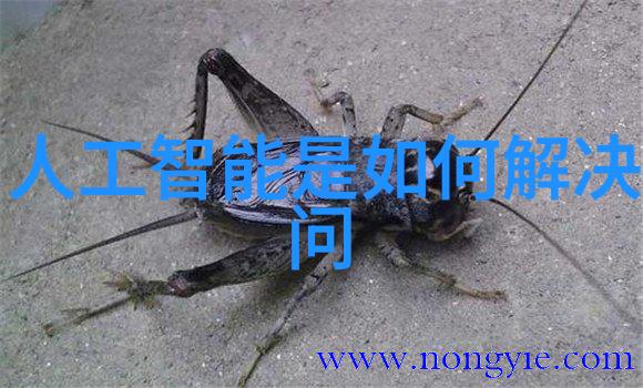 化工巨擘中国50强企业的辉煌篇章