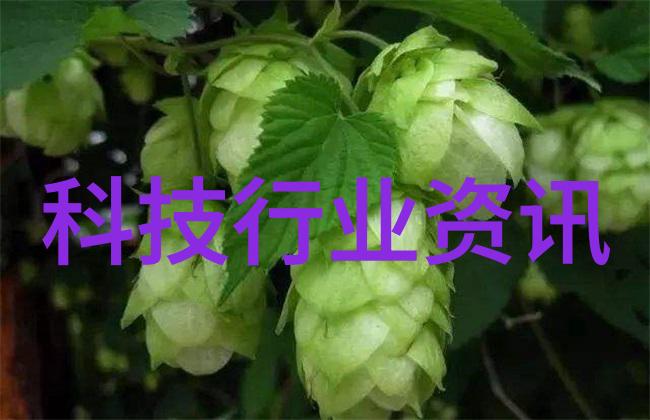 工薪族首选 时尚热门平板电视导购