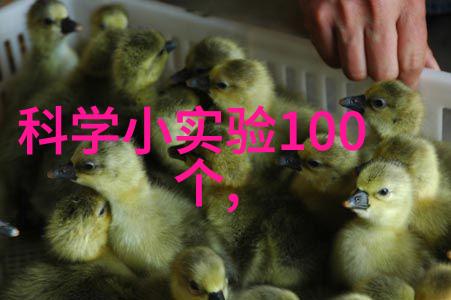 塑料回收新篇章造粒机的智慧与未来