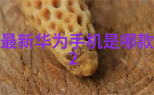 人工智能排名前十名智慧驱动的未来科技巨头
