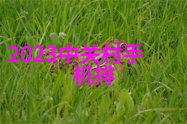 分选机型号解析精准分类技术的关键驱动者