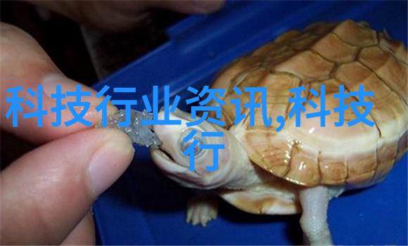 厨房小窝温馨与实用的完美结合