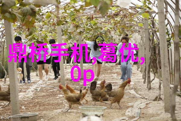 其他制剂设备我的药水制作小窍门