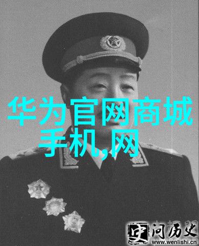 嫡妃不好惹宫廷权谋与爱恨纠葛
