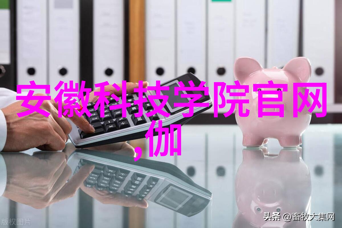在执行实际的大型净水设备安装过程中应如何处理可能出现的问题或故障