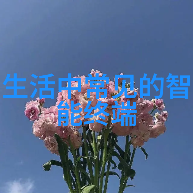 加氢反应釜内部结构我来告诉你它的秘密这不是简单的黑盒