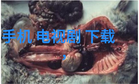 长沙民政职业技术学院对社会服务工作有什么特色吗