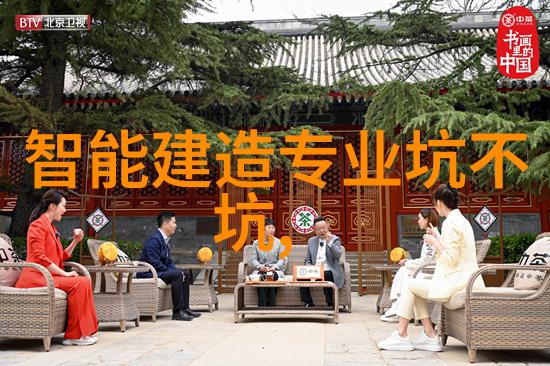 屋顶的故事守护与展望