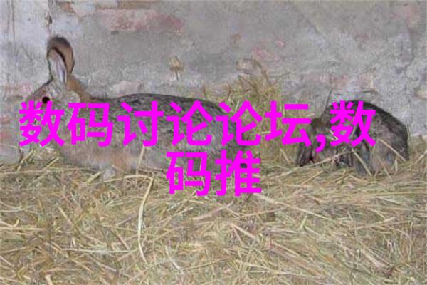 长媳不如妻-吃肉的长耳兔-温暖的家园长媳妻子与那只爱吃肉的长耳兔