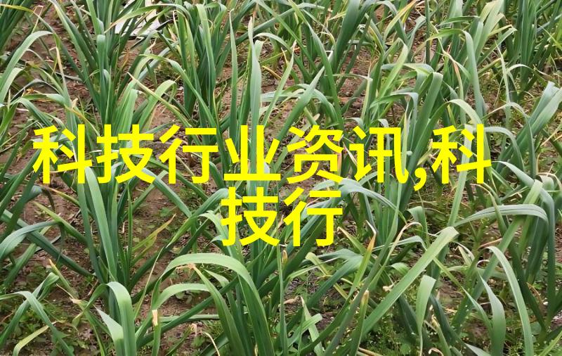 批发市场进货渠道-物流链的基石深度探究批发市场的进货路径与优化策略