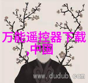 一顺一丁岁月的交响曲