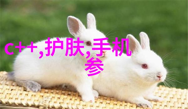 沙石分离新技术革命化建筑材料提炼流程