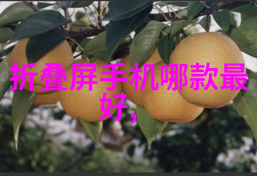 小型化工厂项目实施的关键因素是什么