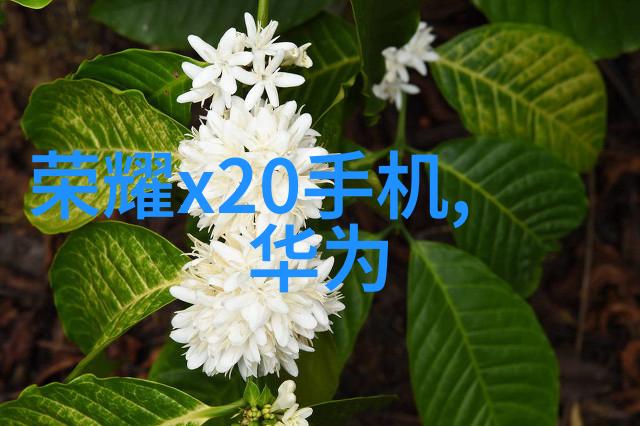 哇他怎么这么猛啊解析背后的秘诀与策略