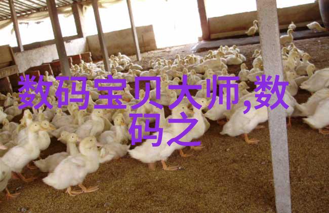 深入探究桩基检测技术与工程实践的结合