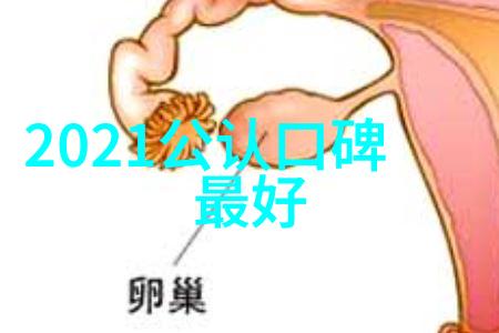 喷浆机配件之谜这些小零件为何能让咖啡体验翻天覆地