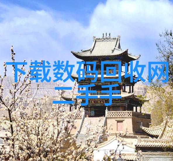 人间荒唐揭秘社会笑话背后的真相