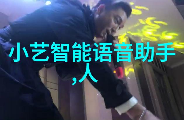 超凡家丁守护者与秘密