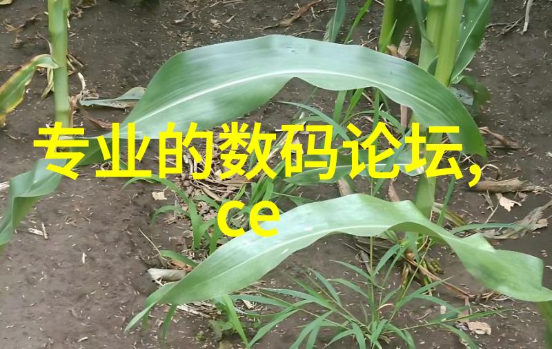 如何在100平米空间内打造一家既现代又温馨的美容院