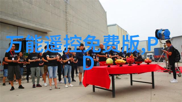 山东蓝天清新工程项目实施报告