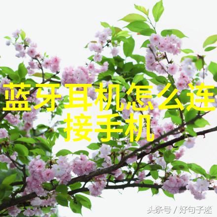 大型净水设备安装流程我来教你如何一步步搞定这回事儿