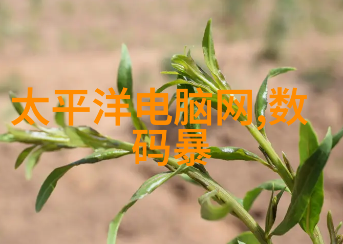 低温燃烧法高效清洁生产的关键技术