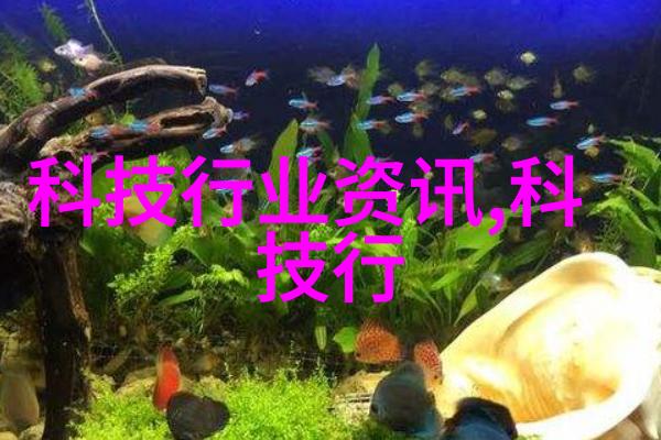 煤泥干燥设备的选择与运用