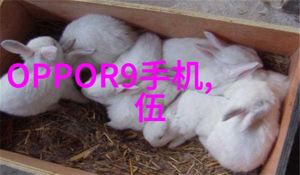离心机配件名称及其在流体动力学中的应用研究