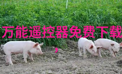 布袋除尘器内部详细构造图-揭秘清洁工的不为人知工程奇迹