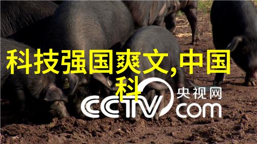 塑料王国波纹管的双壁秘密