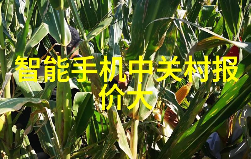 超高压杀菌活力源泉的净化术士