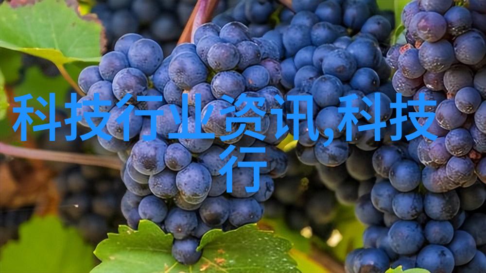 垂涎By浅品味生活的诱惑与共鸣