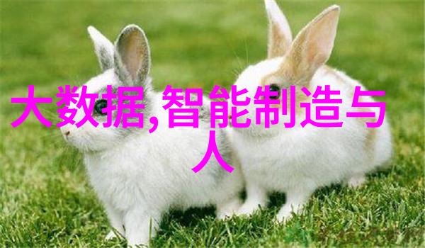 压力仪器的精确测量艺术揭秘高强度测试设备