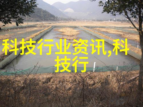 夏日自我夏日的美好与自我探索