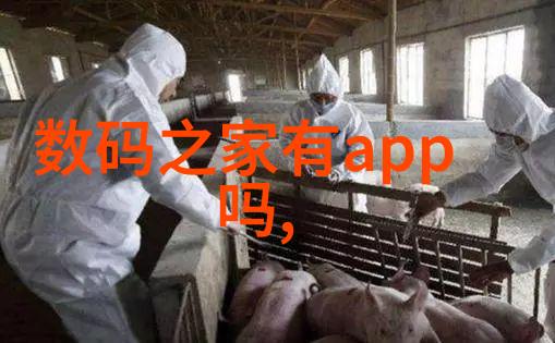 不锈钢输送机-高效流程辅助者不锈钢输送机的应用与优势