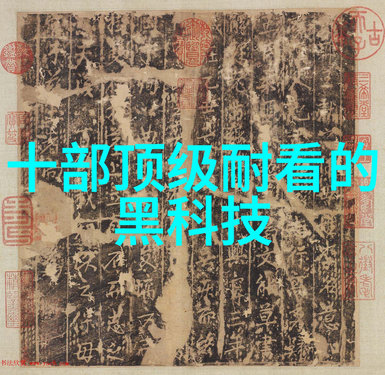 静谧的旋转固定床反应器的设计之谜