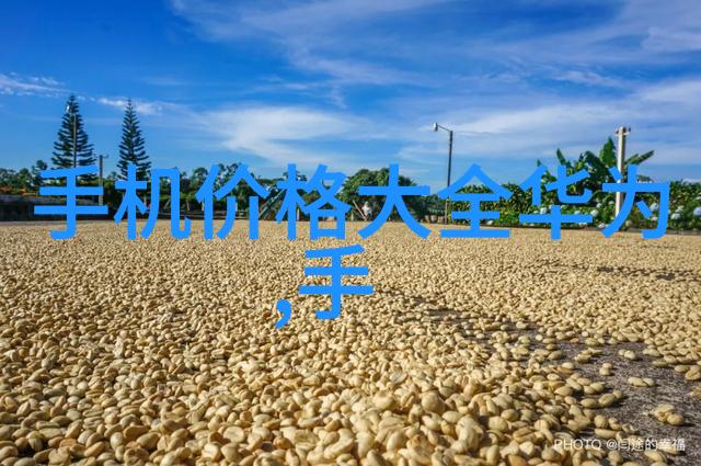 使用粉煤灰分选机能否提高能源利用率