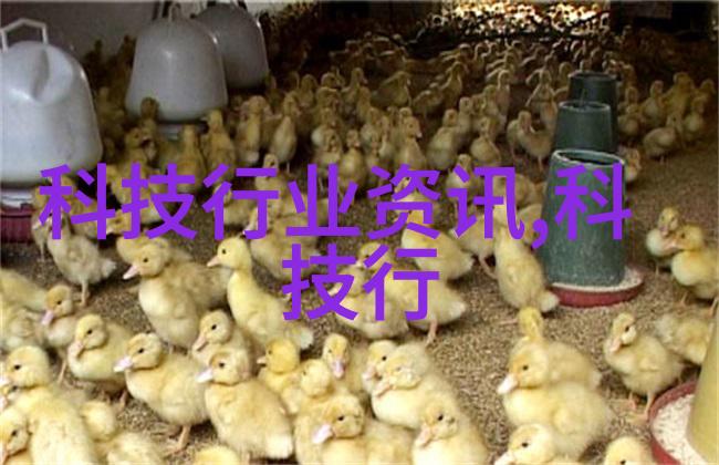 装修房子必知从规划到完工的关键步骤