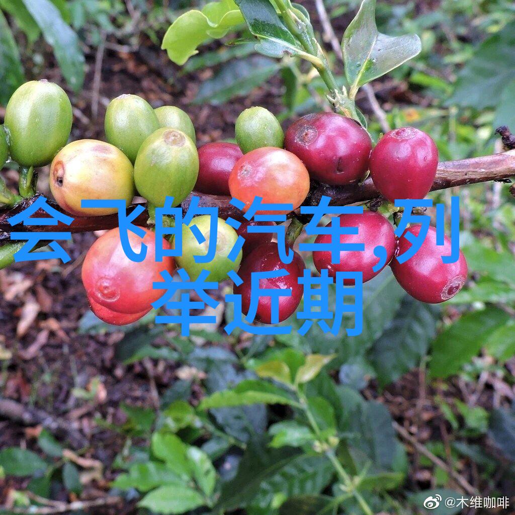 规整填料的艺术环填料的魅力与实用性