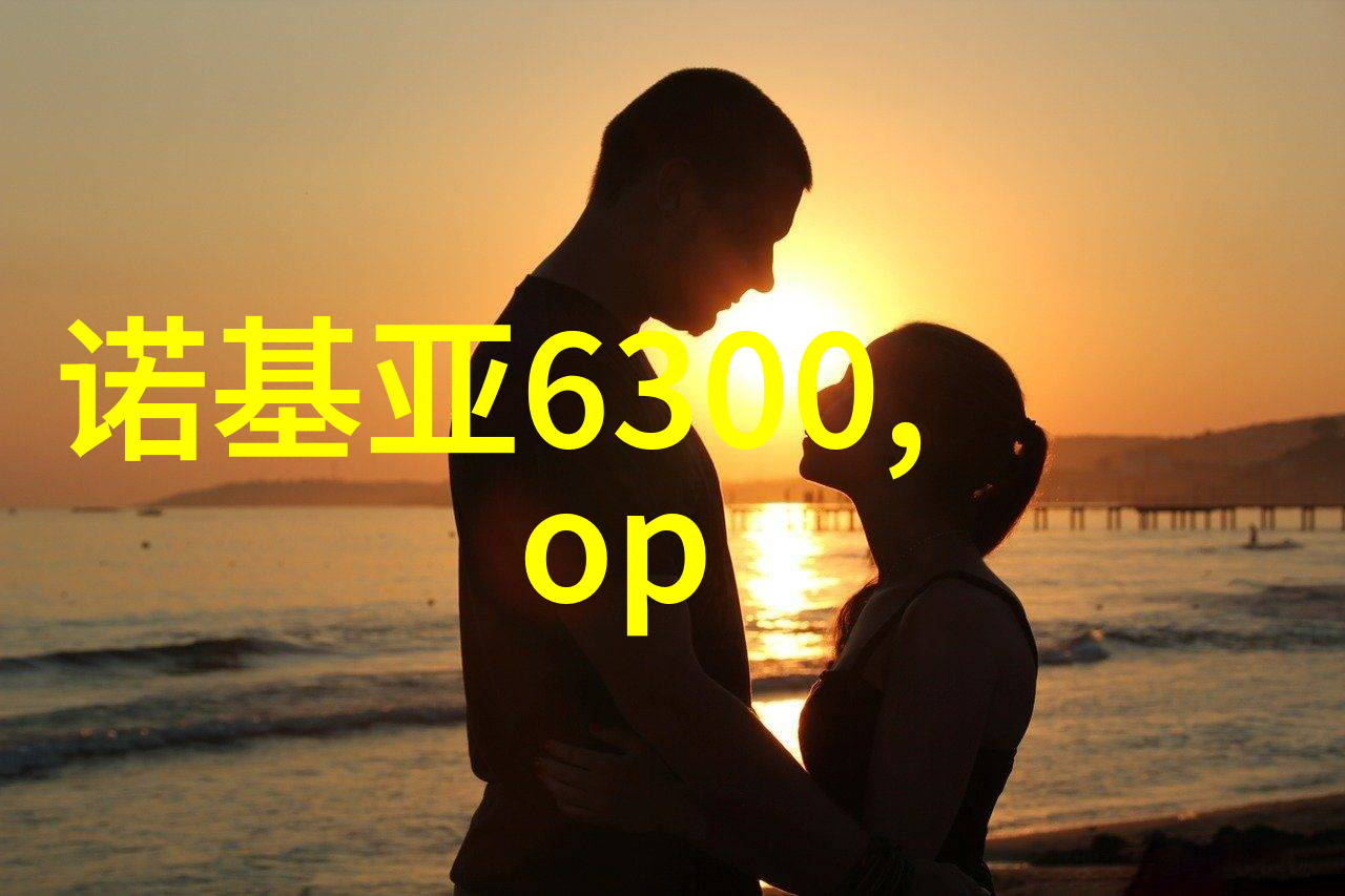 中国装修网家居美学的智慧指南