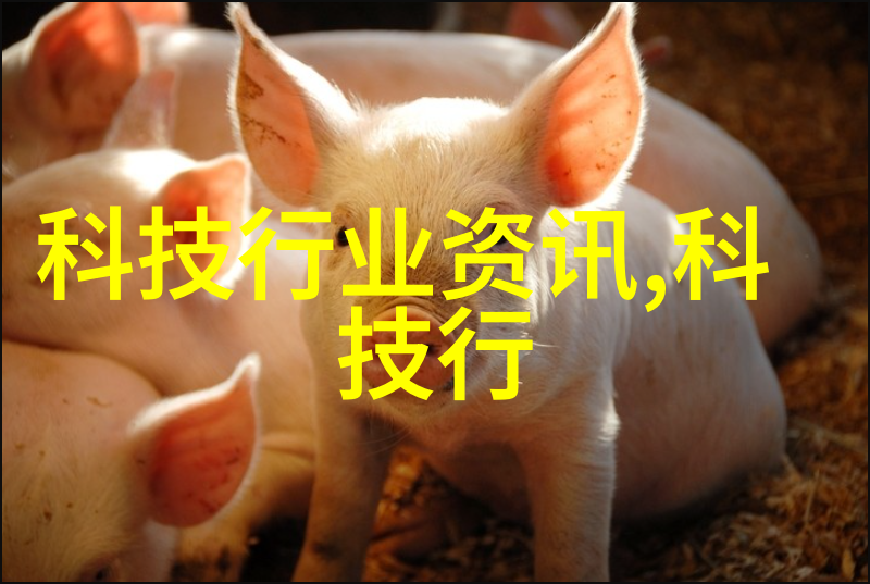 探秘a组填料图片解密视觉语言的艺术与科技交汇点