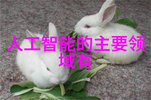 公交车最后一排的乘客们一个多元化的故事