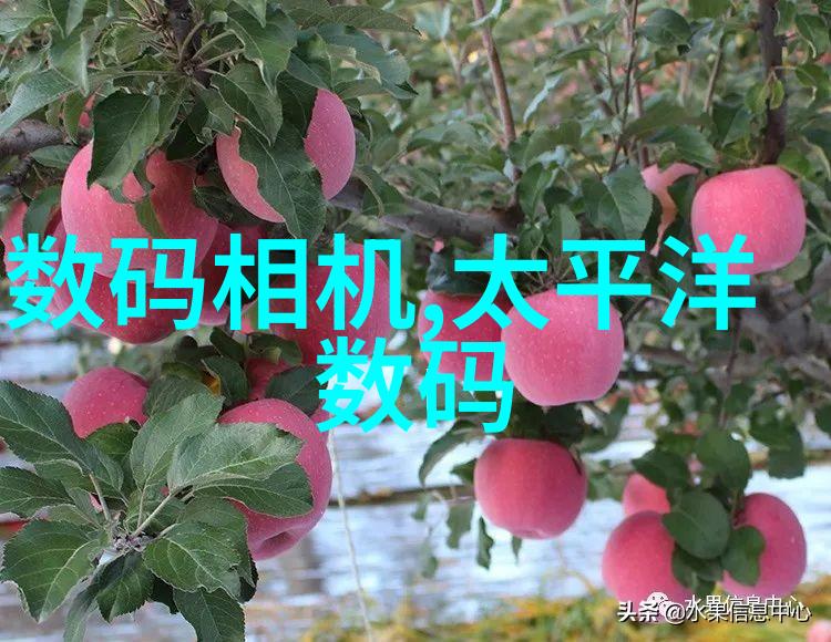 格格党的未来魔王梦