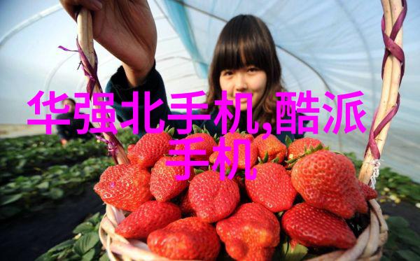 什么是管式离心机的工作原理我们来看看结构图