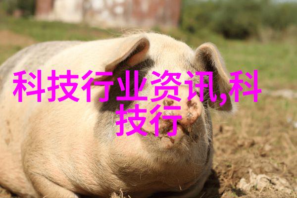 东富龙制药设备我来给你讲讲东富龙你的定制化制药伙伴