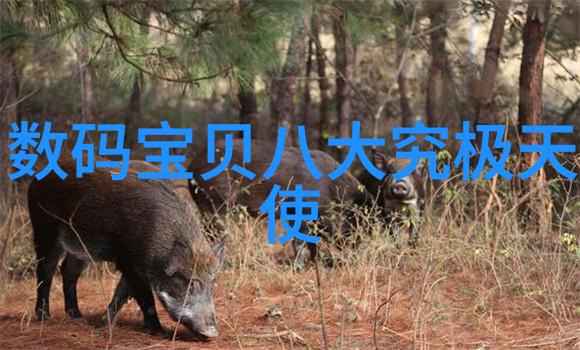 生活小技巧我是如何用pp三相分离器让家里的电线变得整洁又安全的