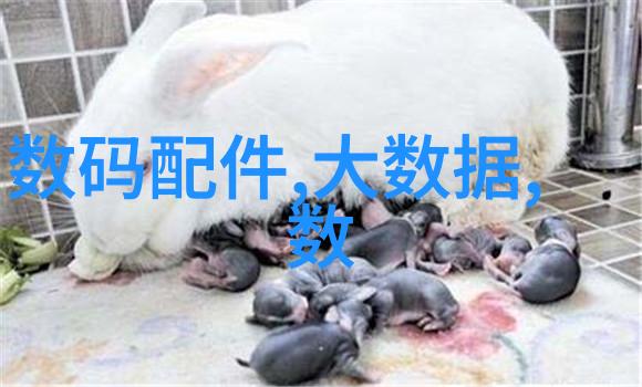 冰点技术解析现代制冷设备的高效运作机理