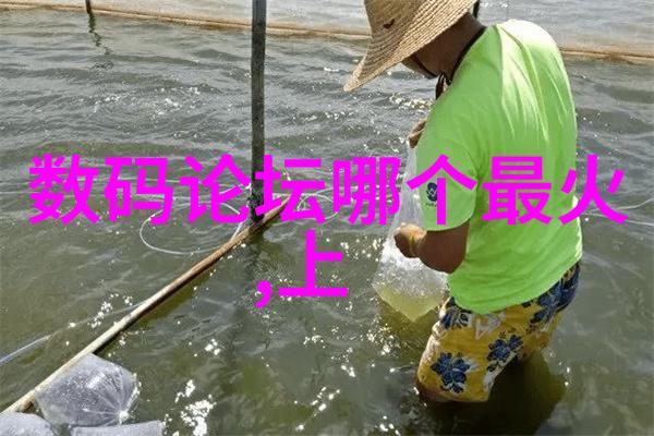 三花智能股票未来投资的智慧选择