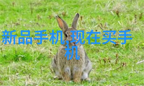填料大师揭秘生活中的无形英雄
