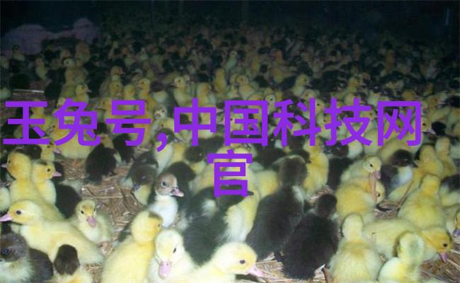 超高速离心机与传统机械相比能否提供更高效能输出